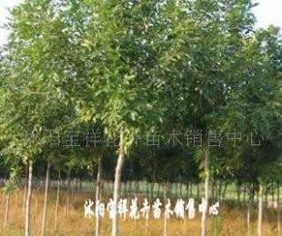 供應(yīng)電線電纜填充用高檔麻線_紡織、皮革_世界工廠網(wǎng)中國(guó)產(chǎn)品信息庫(kù)